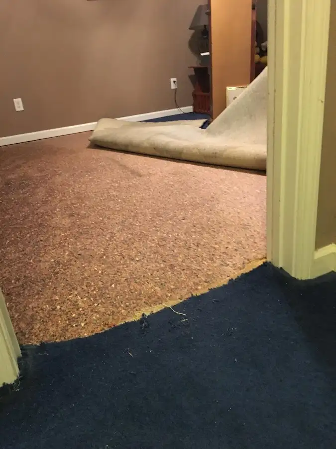 Carpet pad removal revealing water damage during Drying & Dehumidification in Marshfield