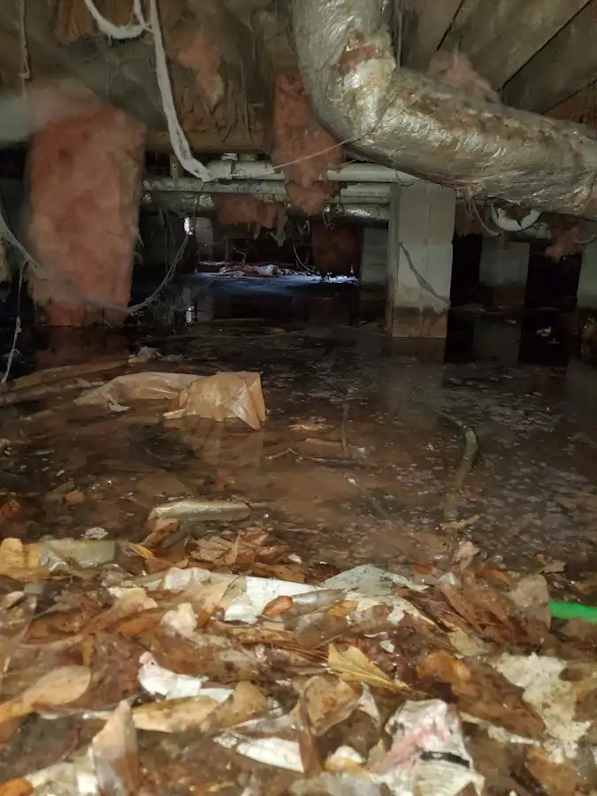 Crawl space flood assessment for Leak Detection & Repair in Marshfield
